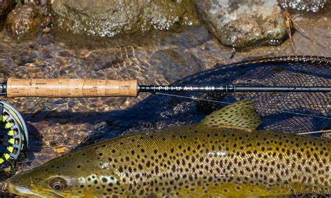 primal fishing|Fly Fishing Rod Review .